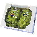 お中元 お返し 内祝い ギフト 野菜 岡山県産完熟葡萄大粒&大房シャインマスカット 2房 産直 新築 お礼 引越し 志 仏事 送料無料