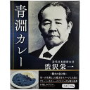 お返し 内祝い ギフトカレー・スープ 青淵カレー青淵カレ- プチギフト 新築 お礼 引越し 志 仏事