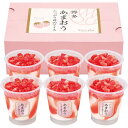 お中元 お返し 内祝い ギフト お届け日確認 アイスクリーム 博多あまおう たっぷり苺のアイスAH-TP6C 産直 新築 お礼 引越し 志 仏事 送料無料