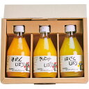 お中元 お返し 内祝い ギフト野菜飲料 伊藤農園 100%ピュアジュースのみきり3本ギフトセット50703 プチギフト 新築 お礼 引越し 志 仏事