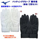 mizuno ミズノ バッティング手袋 限定 HS2双セット21(両手用) 1EJEH021