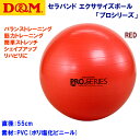 家トレグッズ D&M/バランスボール/エクササイズボール セラバンド エクササイズボール 「プロシリーズ」 SDS-55