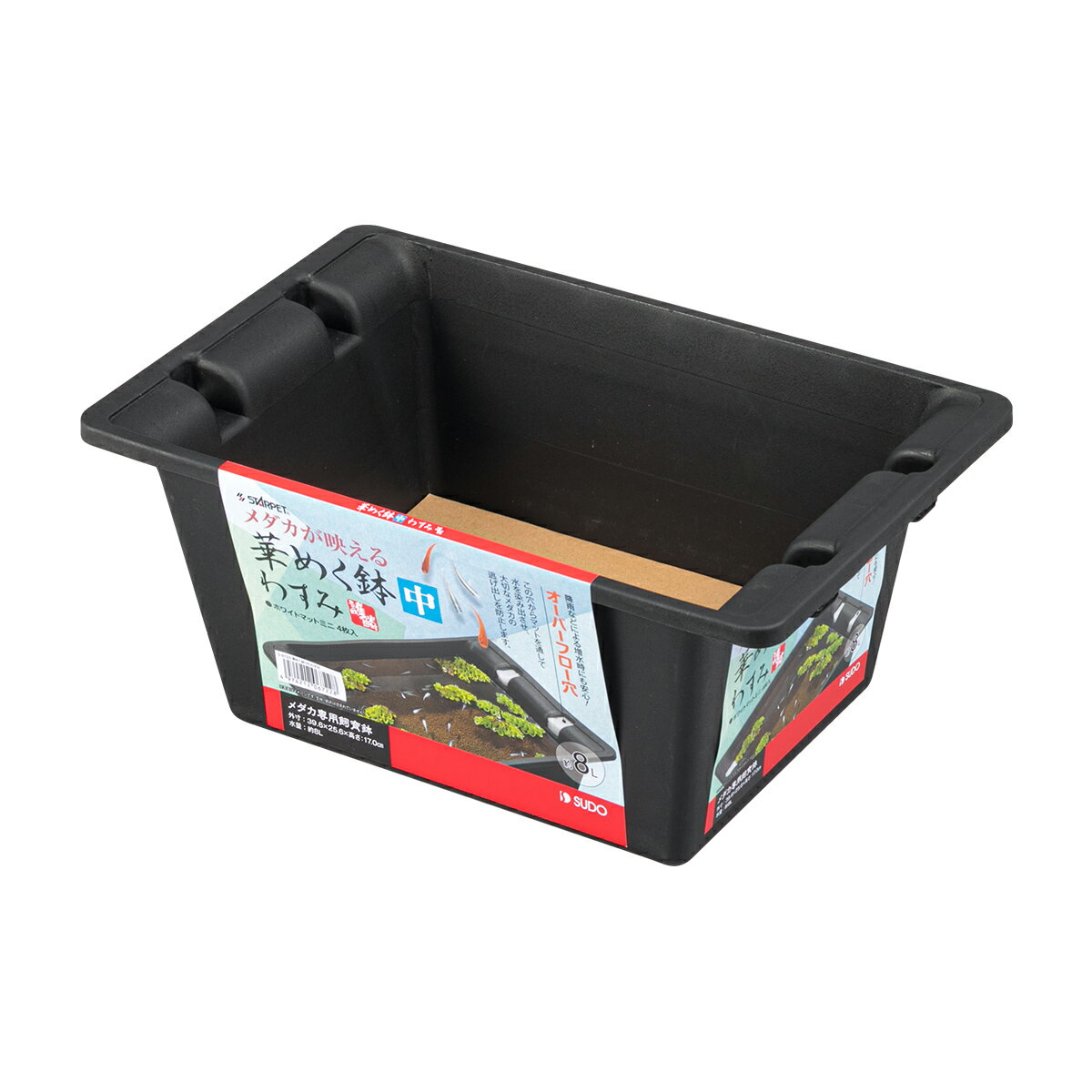 スドー華めく鉢（中）わすみ