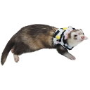 ferret　ランランハーネスウェア　うしさん　Mサイズ