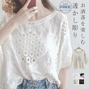 ブラウス ボレロ 夏 カーディ 透かし彫り カットソー トップス プルオーバー 花柄 刺繡 透け感 ゆったり カジュアル 春服 春物 春 夏 きれ...
