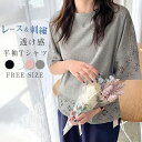 カットソー Tシャツ プルオーバー 半袖 透かし編み 夏 秋 春 トップス tシャツ レディース レース 透け感 カットソー ゆったり ラウンド tシャツ 綿 カジュアル おしゃれ シンプル ゆるっと きれいめ 着回し