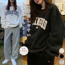 トレーナー レディース 秋 春 長袖 カレッジ ロゴ カットソー Tシャツ 長袖 大きめ ゆったり トップス 重ね着 レイヤード風 体型カバー シンプル カジュアル 大きいサイズ ゆるっと ビッグシルエット 幅広カフス 着瘦せ 送料無料
