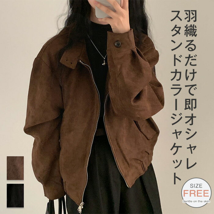ジャケット レディース アウター ライトジャケット 秋 ブルゾン 羽織 羽織り 上着 ライトアウター スタンドカラージャケット 長袖 立ち襟 裏地付き スエード ダブルジップ 大きいサイズ 着回し 秋 冬 スエードジャケット