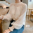 レース ブラウス レディース 長袖 レース 刺繡 ブラウス 春 秋 ボリューム感 プルオーバー トップス フェミニン 総レース Tシャツ 着回し ...