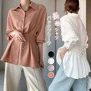 シャツ レディース 長袖 バックプリーツ シャツ ブラウス 春 秋 トップス 無地 薄手 プリーツ シャツ Aライン フェミニン 着回し シンプル おしゃれ 大...