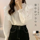 シャツ ブラウス レディース 春 夏 秋 レース 切り替え 長袖 Tシャツ カットワーク トップス ボリューム袖 フレア袖 フェミニン 着回し シンプル おしゃれ 大人 カジュアル こなれ感 ゆったり ボリューム感 女性らしい 着瘦せ 大きいサイズ きれいめ(4)