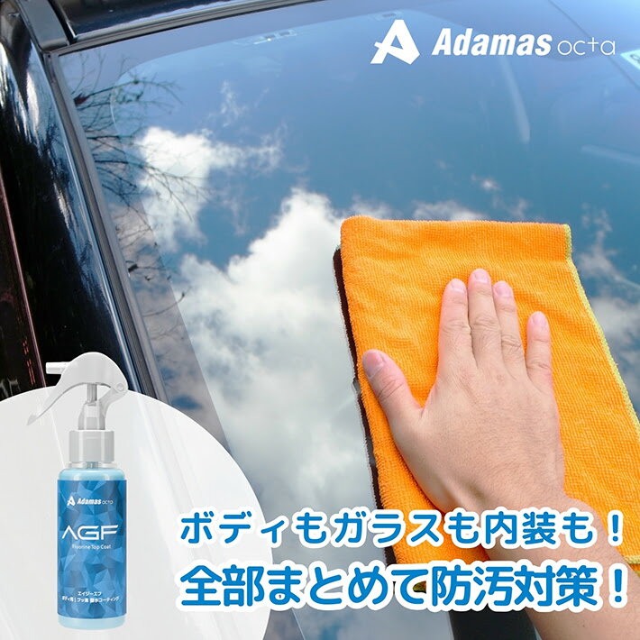 【 agility F AGF 100ml 】フッ素 コーテイング 車 撥水 水回り ガラス撥水 防汚 帯電抑止 ウインドウコーティング 車 ガラス フロントガラス 窓ガラス ウィンドウ フロントガラス視界 自動車ガラス撥水剤 雨 防汚 ボディ ホイール 艶アップ