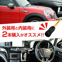 DETAILINGKINGDOMディティーリングブラシ【洗車ブラシ隙間ラクラク洗浄内装外装】