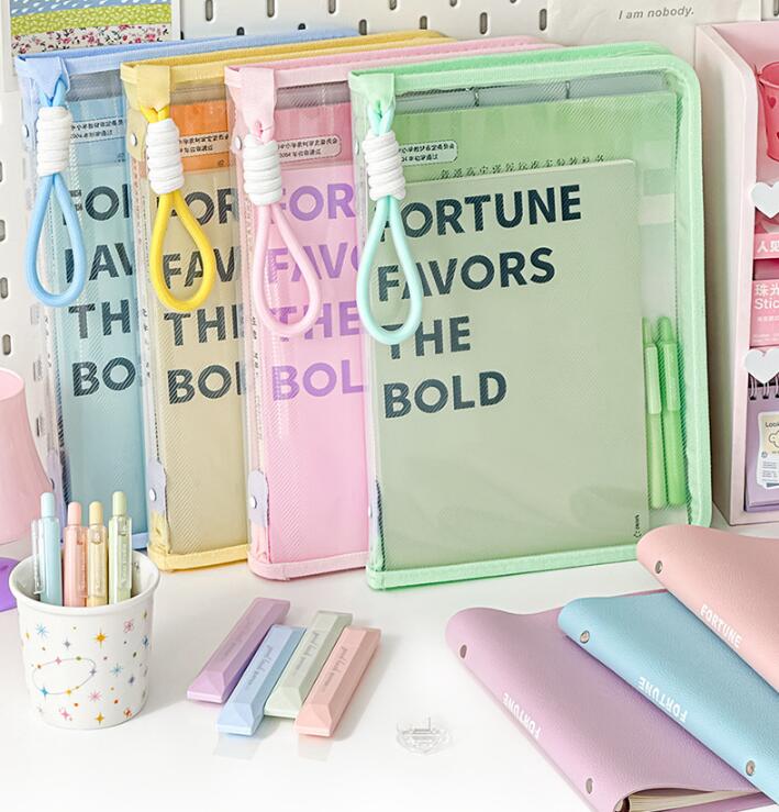 クリアファイル ジッパー式ファイル袋 ファイル a4 書類レシート収納袋 ドキ 4個入り 個別フォルダー ..