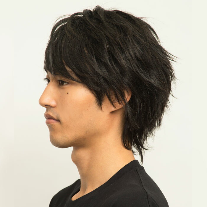 男女兼用 イケメン 耐熱 ウイッグ ベーシック ショート ナチュラル ブラック 黒 黒髪 自然 wig アニメ メンズ レディース ショートヘア ホスト かつら カツラ コスプレ コスチューム 男装 ボリューム ハロウィンコスプレ ハロウィン 仮装 文化祭 忘年会 s-cs-6e167