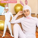 男女兼用 うさぎ全身タイツセット 大きいサイズ 蝶ネクタイ カチューシャ しっぽ 尻尾 全身タイツ うさぎ ウサギ ラビット アリス メンズ イースター アニマル 動物 かわいい 年賀状 2023 干支 お正月 コス コスプレ コスチューム ハロウィン 忘年会 新年会 宴会 s-cs-9b210