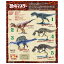 送料無料 F-toys 恐竜マスター4 第4弾 10個入 BOX ボックス エフトイズ 食玩 きょうりゅう 化石 骨格 標本 海洋堂監修 ティラノサウルス アロサウルス スピノサウルス アクロカントサウルス フィギュア ミニチュア おもちゃ 大人買い 箱買い コンプ コンプリート ok-ja01428 4,940円
