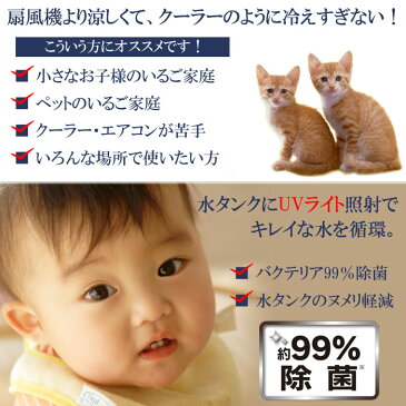 送料無料 UVライト照射 除菌 99% 冷風扇 冷風機 冷風 送風 扇風機 静音 静か 床置き リモコン付 小型 冷房 スイング 機能 首振り キャスター オートルーバー 風量切替 タイマー ワイド WIDE送風 持ち運び 便利 エコ リビング オフィス ホワイト MA-832 ma832 s-mrt_6f954
