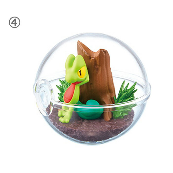 楽天市場 Re Ment ポケットモンスター テラリウムコレクション6 6個入り Box リーメント 食玩 フィギュア おもちゃ ドールハウス 玩具 ボックス 大人買い セット フルコンプ コンプリート グッズ ポケモン ピカチュウ キレイハナ エンテイ ミュウ ソーナンス キモリ