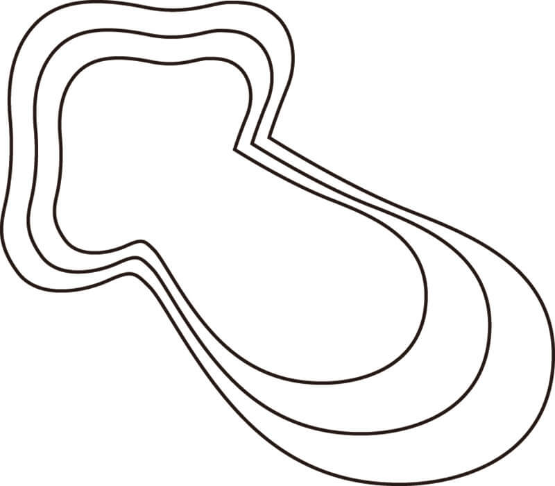 厚口野菜抜 松茸 中 #2 送料無料