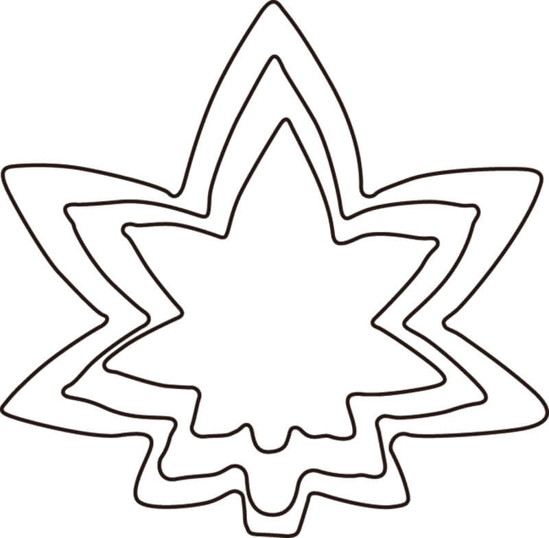 厚口野菜抜 紅葉 中 #2