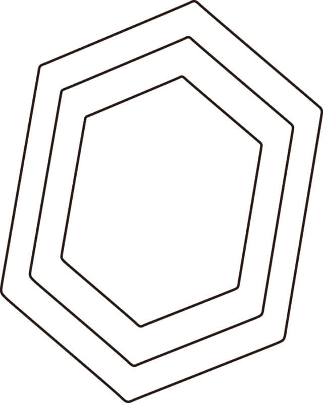 野菜抜 亀甲 中 #2 送料無料