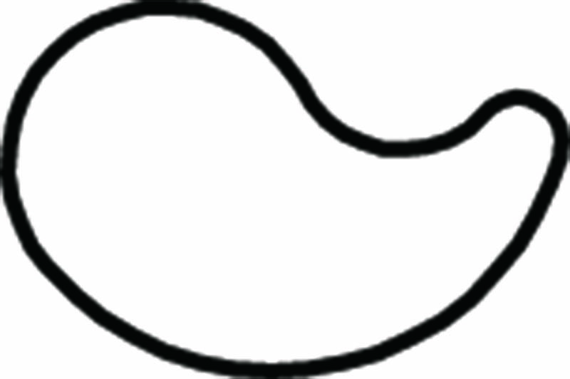 生抜 極小 まがたま