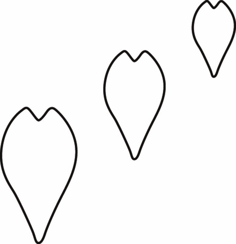 生抜 桜の花びら 小 #1