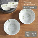 ディズニー 食器 サラダボウル 2個 セット グリーン Disney 食器 ミッキー ミニー ミッキーマウス ボウル 電子レンジ 食洗機対応 ペア セット 前畑...