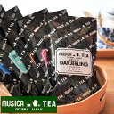 MUSICA TEA ムジカティー デラックスダージリン 100g ムジカ紅茶 紅茶 堂島 DELUXE DARJEELING 【キャンセル 返品 交換不可】【2点までメール便可能】