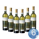 【箱入りセットでお買い得】ベルターニ社 ソアーヴェ セレオーレ750ml【6本セット】【キャンセル・返品・交換不可】