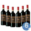 【箱入りセットでお買い得】アヴィニョネージ社 ヴィーノ・ノービレ・ディ・モンテプルチアーノ750ml 【6本セット】【キャンセル・返品・交換不可】