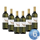 【箱入りセットでお買い得】ファレスコ社 グレケット・ウンブリア・ビアンコ750ml 【6本セット】【キャンセル・返品・交換不可】