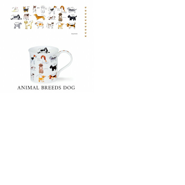 DUNOON ダヌーン マグカップ Bute 選べる5デザイン 300ml ボーンチャイナ 食器 ギフト 結婚祝い プレゼント 贈り物