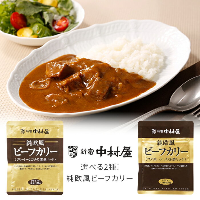 新宿中村屋 純欧風ビーフカリー レトルト 120g ミニサイズ 少なめ 中村屋 ビーフカリー ビーフカレー カレー 【4点までメール便対応】