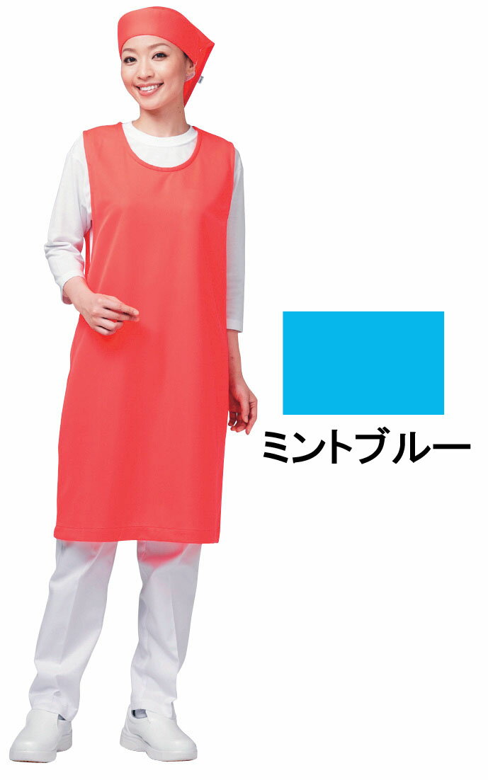 【仕様】 メーカー品番:E5100 サイズ:フリー 色:11 ミントブルー 着丈:94cm 身幅:54cm 質量:270g アイメッシュ○R エプロン ●究極の通気性、耐久撥水性に抗菌性をプラスした高機能繊維。 ●活動中も通気感覚が感じられ...