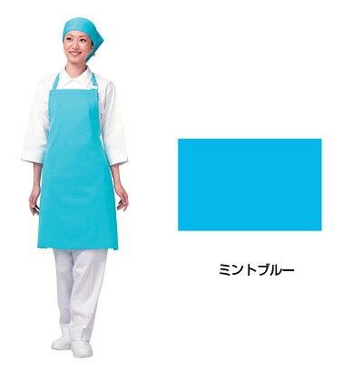 【仕様】 メーカー品番:E5200 サイズ:フリー 色:11 ミントブルー 着丈:83cm 身幅:70cm 質量:185g アイメッシュ○R エプロン ●究極の通気性、耐久撥水性に抗菌性をプラスした高機能繊維。 ●活動中も通気感覚が感じられるハイテク素材。 ●ポリエステル100%のエアークール＆ドライメッシュ。
