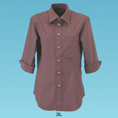 男女兼用ショップコート ET-5733 3L 【ショコラ】