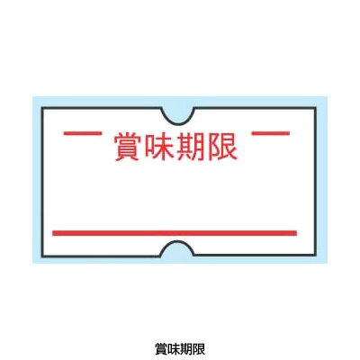 ハンドラベラー ACE 専用ラベル （10巻入） 賞味期限（1巻1000枚）【 アドキッチン 】