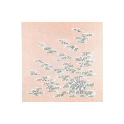 �Կ��ۥ����� ���� �� ��10������ 750 ��750��750mm( ���å���֥��� )