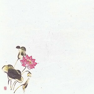 【仕様】 メーカー品番：W5-10 幅×奥行：150×150mm ●無蛍光雲流遠赤抗菌和紙を使用しております。 ※御注文の際は、200枚単位でお願いします。 〈特長〉 ●優れた抗菌効果と遠赤外線放射。 ●雑菌(大腸菌、病原性大腸菌O-157)の発生を強力に防ぎ、付着した雑菌の繁殖を抑え、ゆるやかに滅菌し長時間効果 が持続します。 ●保鮮紙としても使用出来ます。 ●セラミックの持つ遠赤外線効果が、素材を活性化し、うま みを引き出します。 セラミックの持つ抗菌効果が、衛生管理をより向上します。 ●水(霧吹等)で湿らせて使用して下さい。鮮度を保ち、乾燥・変色を防ぎます。 ※食用色素インクを使用しておりませんので直接お料理を盛り付ける時は、絵柄を避けて下さい。 ※洗浄機対応 ※入数