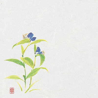 ニュー四季懐紙 4寸 （100枚入） NS-21 つゆ草（7月～8月） 120×120mm【 アドキッチン 】