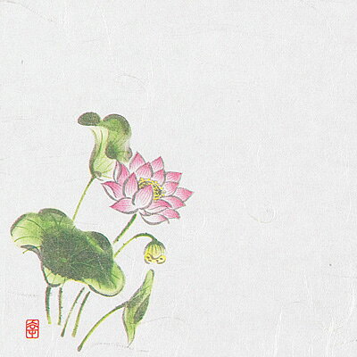 【仕様】 幅×奥行：120×120mm 絵柄の位置：左下 ●和紙の表面に特殊加工してありますので、絵柄の上に直接食品を載せて頂けます。 ●水分・油分を通さず、盛り付けの美しさを保ちます。 ※御注文の際は、100枚単位でお願いします。 ※入数