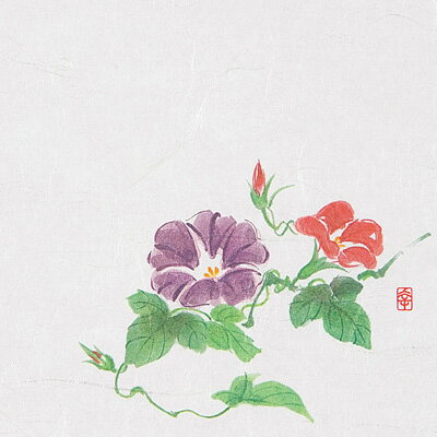 ニュー四季懐紙 5寸 （100枚入） NS-9 朝顔（7月～8月） 150×150mm【 アドキッチン 】