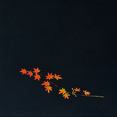 【仕様】 メーカー品番：OS-12-9 幅×奥行：120×120mm 絵柄の位置：下 ●両面ラミネート加工してありますから、敷いても、掛けて使用していただいても安全です。 ※入数