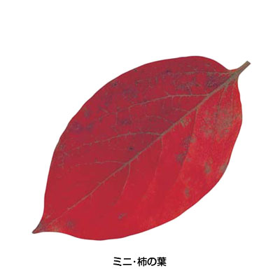 【仕様】 メーカー品番：65786 型：ミニ・柿の葉 幅×奥行：59×104mm 型抜きクリアシート ●安全性を高めるために、印刷柄を両面OPフィルムでラミネート加工し、臨場感あふれる自然のままの葉形に、切り抜き加工をしております。 趣のある風情を演出する時に最適です。 ※入数