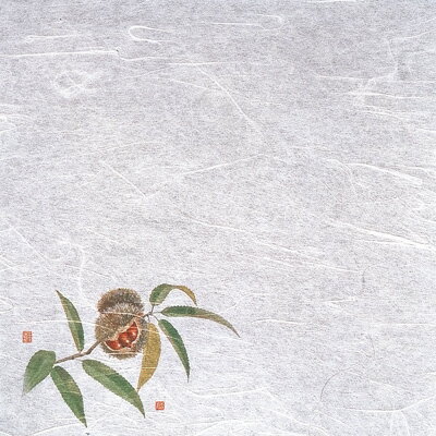 新・濡れ奉書紙（100枚入） 栗 （8月～10月） 200×200mm( キッチンブランチ )