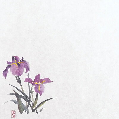 耐油懐敷 18 角（100枚入） あやめ M30-223 180×180mm【 アドキッチン 】