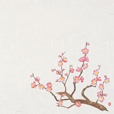 尺3四季懐石まっと（50枚入） 梅（1月～3月） 390×264mm( キッチンブランチ )