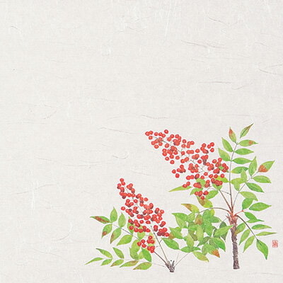 尺3四季懐石まっと（50枚入） 南天（12月～2月） 390×264mm( キッチンブランチ )